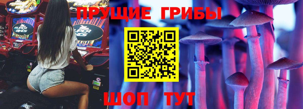 Галлюциногенные грибы Psilocybe  Псилоцибиновые грибы MAGIC MUSHROOMS  Краснокаменск  Вход с VPN 
